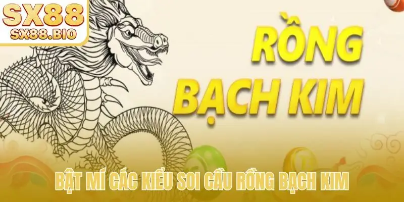 Bật mí các kiểu soi cầu Rồng Bạch Kim
