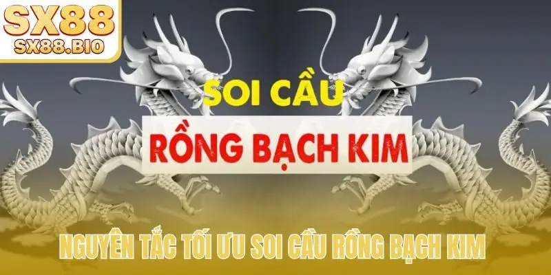Nguyên tắc tối ưu soi cầu Rồng Bạch Kim